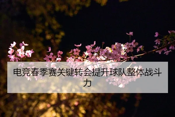 电竞春季赛关键转会提升球队整体战斗力 | HTH